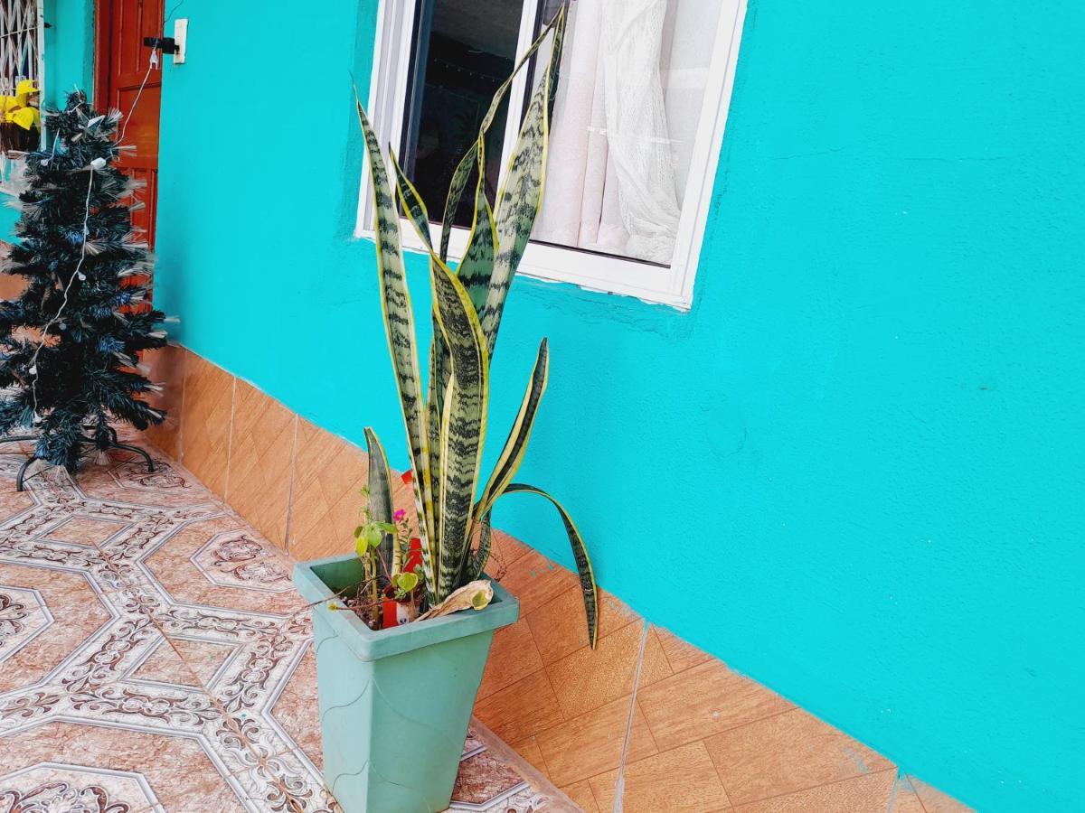 Hostal Sol Iguazu プエルト・イグアス エクステリア 写真